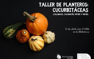 TALLER DE PLANTEROS: CUCURBITÁCEAS